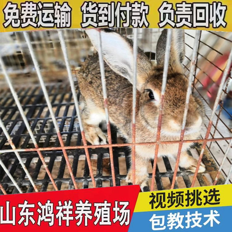 5dba49c62d211f714f192fad08cb8e