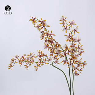 ���Sֱ�N �ָ��f���m�����m�����m�� ��c�Ҿ��b������쾰��ˇ