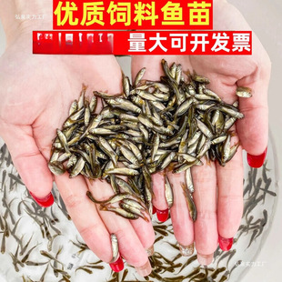 ����~���~����~���~ʳС�a�~С�~ʳ���~���Z���q��ι�~��ι����