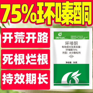 ������������ó��݄�75%�h�ͪ���ݠ������hຆL�rșԴ�^�S��