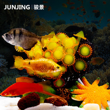 黄色软体珊瑚塑料珊瑚仿真水草仿真水母 假山石造景微观装饰