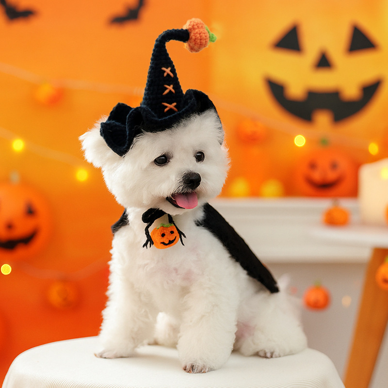 ペットの犬、猫、小型犬、子犬、ハンサム、カジュアル、ファッショナブル、かわいいアクセサリー、ハロウィンウールウィザードハット|undefined