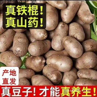�a�����r��С��ֱ�lɽș�������r�F��ɽș3cm�Nֲ�Ї����ɢ�b