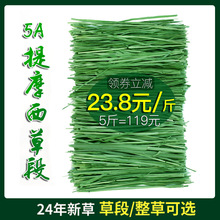 24年新烘干提摩西草段 兔子龙猫荷兰猪豚鼠粮干草 北提牧草500g