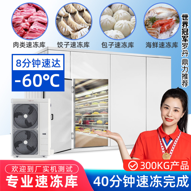 德菱仕大小型定制冷库全套设备海鲜肉类冰库水果蔬菜保鲜速冻库
