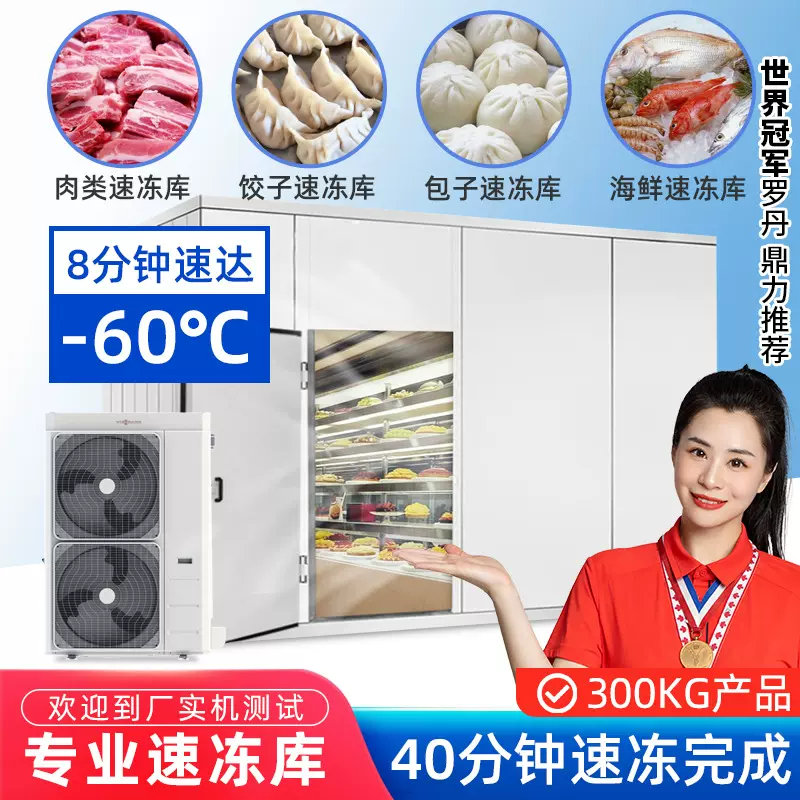德菱仕大小型定制冷库全套设备海鲜肉类冰库水果蔬菜保鲜速冻库