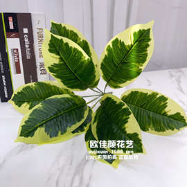 仿真绿植 过胶手感叶子植物墙背景装饰插花榕树 橡皮叶橡皮树假树