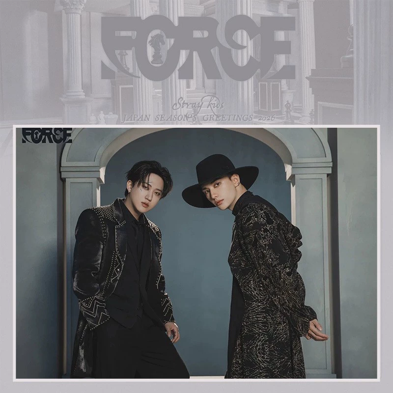 Straykids 2026 предпросмотр календаря самоклеящийся постер, настенная наклейка, 12 вариантов
