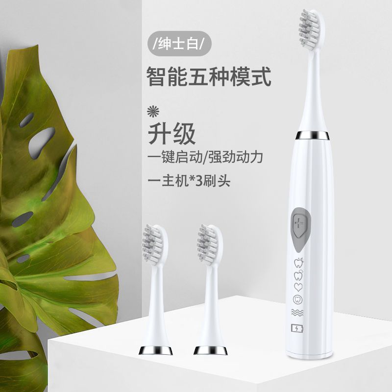 5 단 충전 흰색 (3 브러시 헤드)