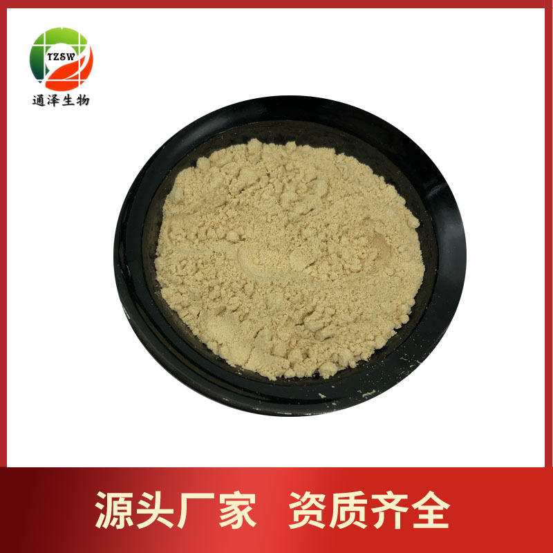 现货供应 黑姜提取物10:1 炮姜提取物 黑姜粉 1kg起订