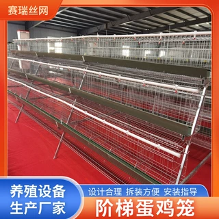 养殖场三层四层立体式阶梯式蛋鸡笼镀锌材质A字型H字形层叠鸡笼
