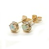 Japanese fresh golden sophisticated small earrings, light luxury style, 14 carat white gold, silver 925 sample