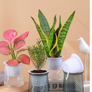 Wˮ͸Ԅˮ簲G}WsmGֲ