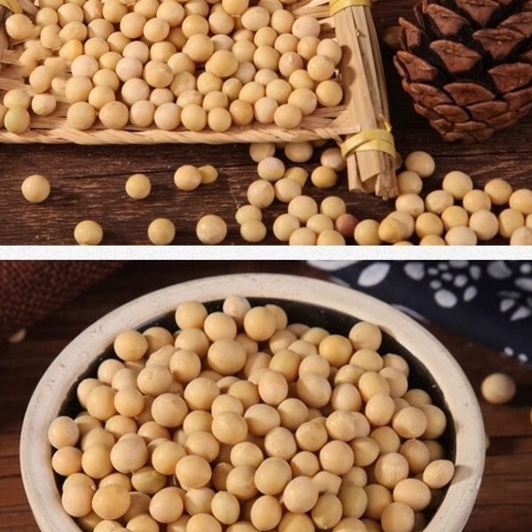 東北農家産大豆 500g 新品高品質大豆粒たっぷり、豆乳専用大豆、多仕様|undefined