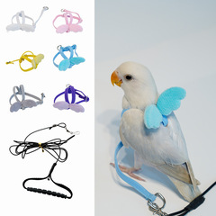 オウムの飛行単背帯は超軽く飛びます。ボタン玄鳳小太陽は鳥を散歩します。
