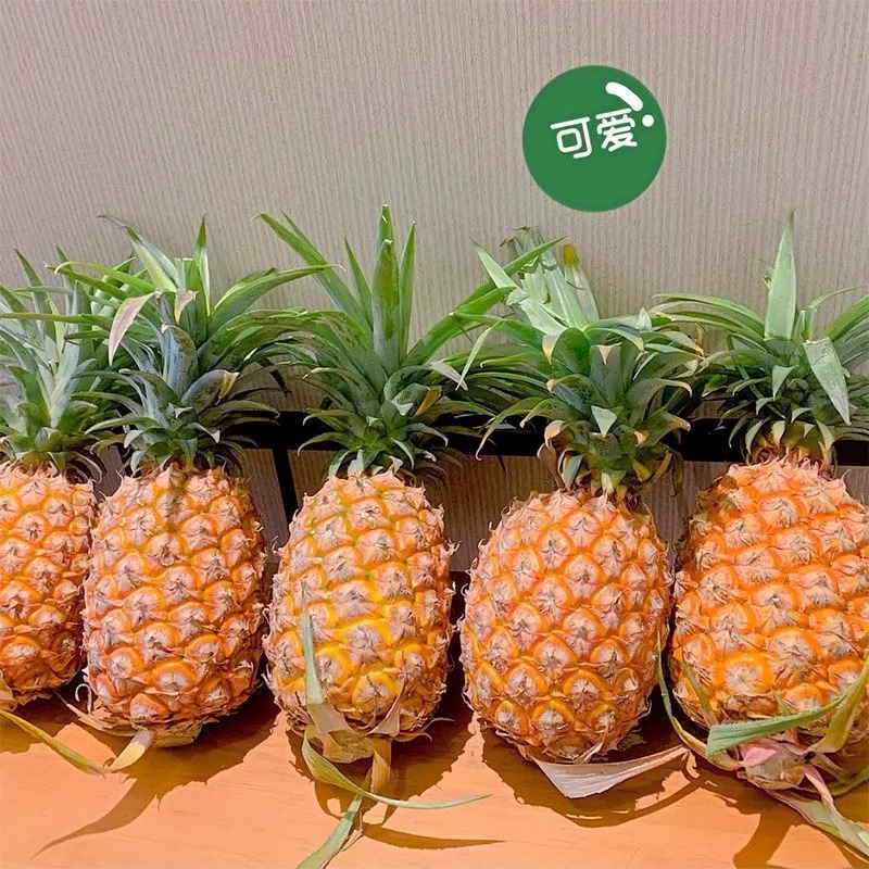 ゴールデン ダイヤモンド パイナップル 5kg 厳選された木で熟した季節のトロピカル フレッシュ フルーツ 非パイナップル 手で切った雲南パイナップル フルボックス|undefined