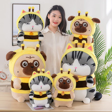 �羳׃�����؈���ж����W�t؈��ë�q���Ů��������˯�X�����Y��