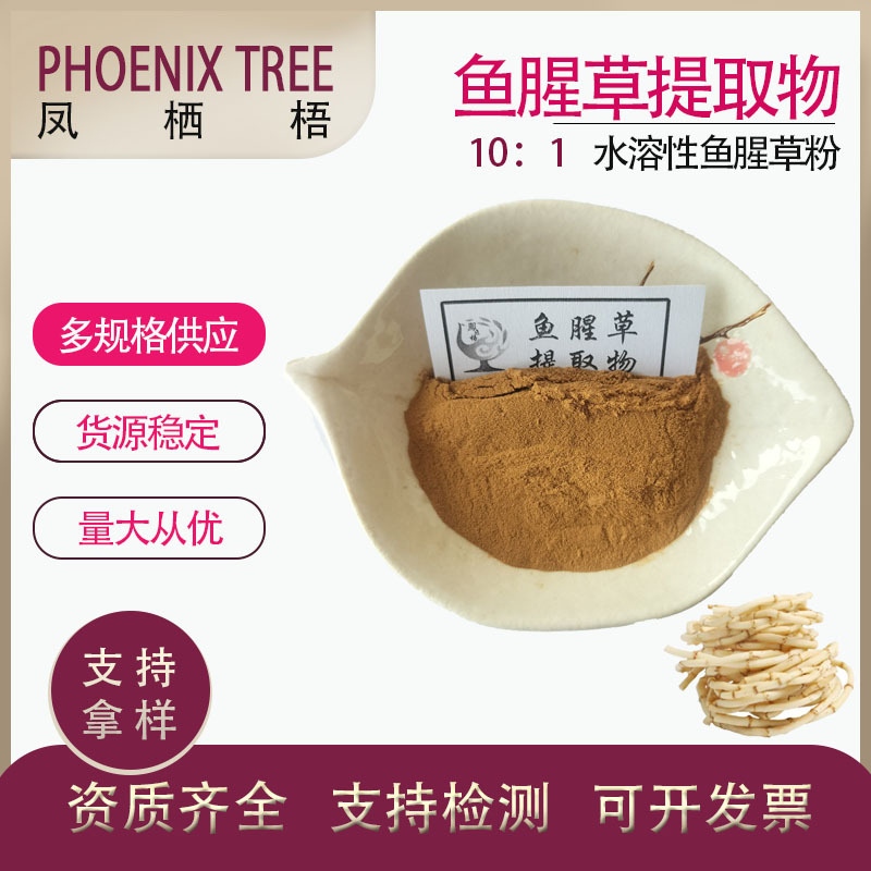 现货水溶性鱼腥草粉 喷雾干燥天然萃取鱼腥草粉 10:1鱼腥草提取物