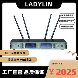 Cruz (Ladylin) Wireless Microphone One for Two Video Conferencing Stage Performance Ktv Karaoke