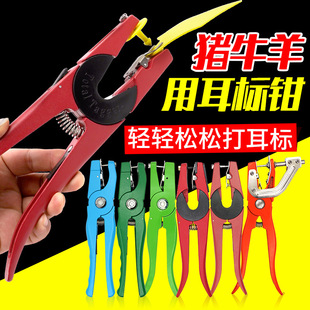 �F�ö����Q��ţ�����Q���iţ�������Q�������̖���Qһ�w�����Q