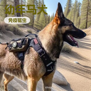 ���l���ͱ����r����Ȯ���N�RȮ܊��Ȯ�Ѿ�Ȯ�o�lȮ����Ȯ���w����