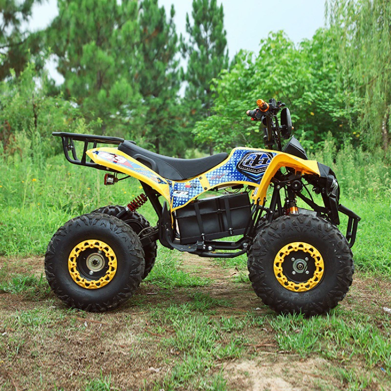 Электрический ATV электрический пляжный автомобиль внедорожник все-снег пляжный автомобиль четырехколёсный мотоцикл 110cc