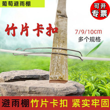 ������Ƭ����ë��̶������ѱ�������Ƭ�A���P䓽z������������