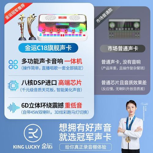 Jinyun C18 All-in-One Sound Card & Audio System: Portable Bluetooth Recording & Karaoke Speaker for Indoor & Outdoor Use – Wholesale Available