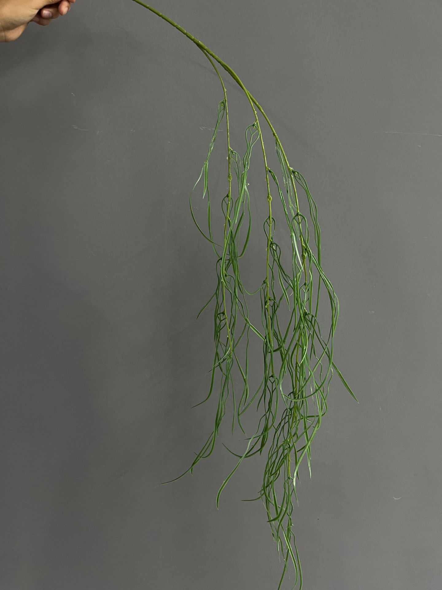 微信图片_20241009083636