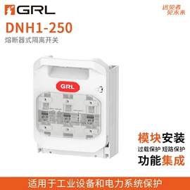 隔离开关;低压熔断器