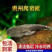 �F�������q�����~�p���P��ˮ����򲻼Ӝس����~�~���坍��ԭ���~