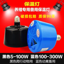 保温灯宠物恒温灯育雏取暖灯二代三代暖风灯暖风养殖保温灯家禽