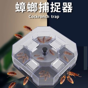 [Directly from the Manufacturer] Cockroach Trap, Trap, Extermination, Cockroach Catching Box, Street Stall Device, Household Cockroach House