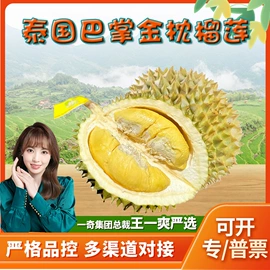 苹果;代用/养生茶;橙