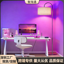 跨境led落地灯客厅高颜值简约立式台灯rgb调光卧室电竞落地氛围灯