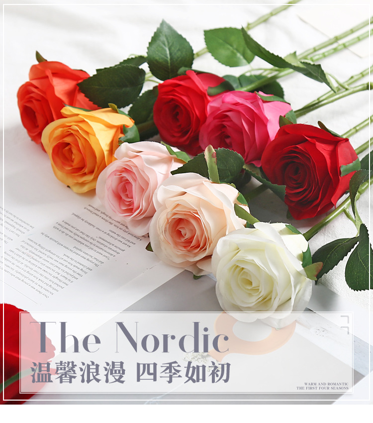 i2idjvmmydSNv11IL5JaeYtewZOPwUh7hWPZ