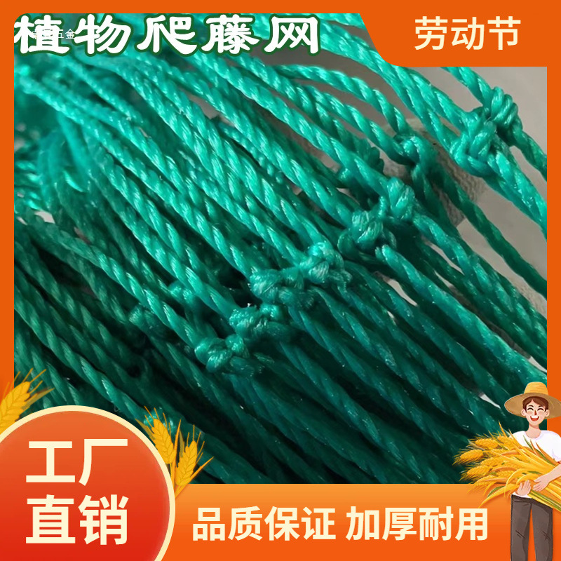 爬藤网植物花卉瓜果丝瓜苦瓜吊瓜葡萄瓜蒌豆角百香果爬藤网攀爬曼