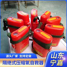 带电子标签45分钟压缩氧自救器防伪码ZY45X隔绝式压缩氧自救器