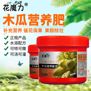 ľ�ό��àI�B�ʘi�ľ���Ƥľ���辰����ͥ�ˈ@�̨�ļ��÷�