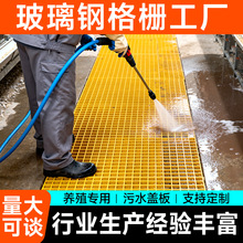 玻璃钢格栅洗车房格栅板地网污水池地沟盖板网格板养殖树篦子格栅