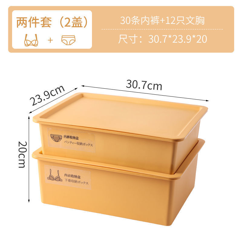 망고옐로우 [대용량+곰팡이방지, 방충] - 박스 2개 + 커버 2개 [속옷+속옷] + 스티커