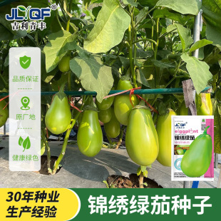 �G���ѷN�����ӷN�Ѹ߮a�ļ��߲˷N�������ӾGƤ�ͺ�������˷N��