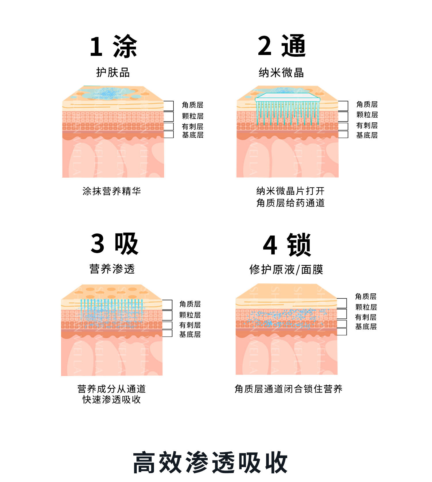 微晶导入头详情页-0_05