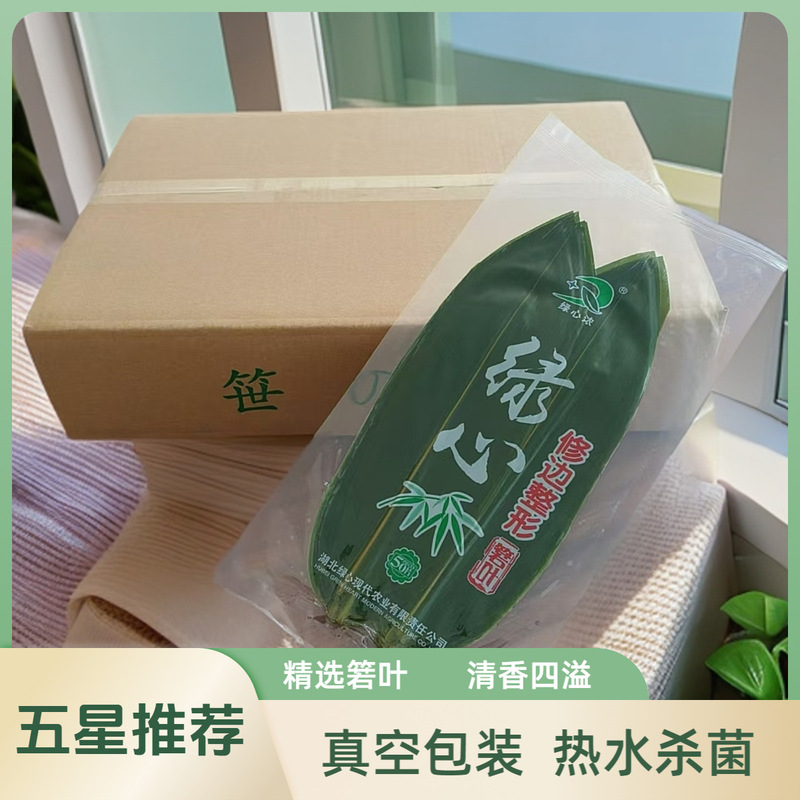 端午節の餃子作り用の竹の葉、グルメ料理の盛り付け、装飾、創造的な飾り付け、緑の芯のトリミング、整形、大型|undefined