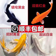 �\���~���~��ˮ�^�p�~���~�~�絭ˮС���\���ݽ���B�ͻ���S���]