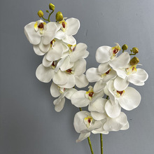 仿真蝴蝶兰7头手感3D打印假花客厅摆件高级感兰花装饰兰花盆栽