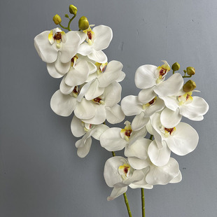 ��������m7�^�ָ�3D��ӡ�ٻ��͏d�[���߼����m���b��m������