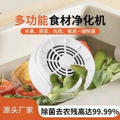 跨境全自动无线果蔬清洗净化器食材清洗机家园水果除菌农残洗菜机