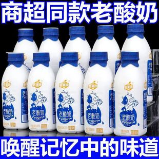 Fresh Date Old Yogurt Thirst Quenching Drink Winter Breakfast Partner Whole Box Promotion