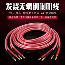 发烧喇叭线480芯HiFi音响音箱线家庭影院5.1/7.1环绕中置主音箱线